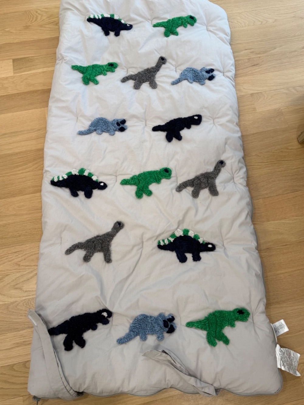 Pottery Barn Kids Candlewick Dino Sleeping Bag- Party at Papa and Nana's!